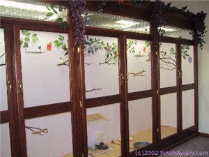 New Finch Aviary