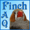 Finch FAQ